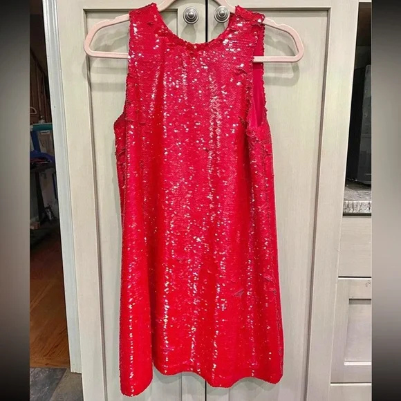 white and silver sequin dress White/Silver Sequin Slink Dress